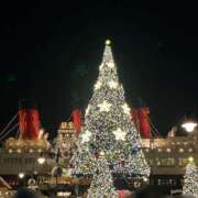 ヒメ日記 2025/11/19 18:33 投稿 せり トマトなび