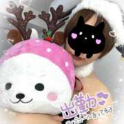 ヒメ日記 2025/11/25 16:37 投稿 せり トマトなび