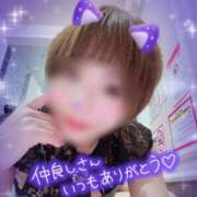 ヒメ日記 2025/11/26 00:33 投稿 せり トマトなび