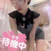 ヒメ日記 2025/11/30 20:49 投稿 せり トマトなび