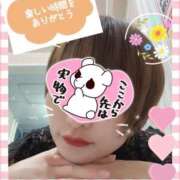 ヒメ日記 2025/12/20 20:14 投稿 せり トマトなび