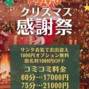 ヒメ日記 2025/12/22 09:09 投稿 せり トマトなび