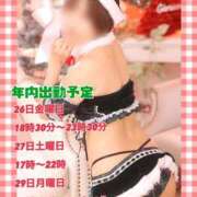 ヒメ日記 2025/12/25 22:15 投稿 せり トマトなび