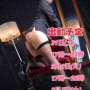 ヒメ日記 2026/01/29 20:48 投稿 せり トマトなび