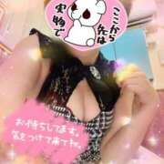 ヒメ日記 2026/02/17 17:06 投稿 せり トマトなび