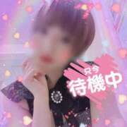 ヒメ日記 2026/02/19 22:23 投稿 せり トマトなび