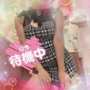 ヒメ日記 2026/02/20 21:28 投稿 せり トマトなび