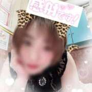 ヒメ日記 2026/02/24 20:31 投稿 せり トマトなび