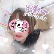 ヒメ日記 2026/03/23 20:58 投稿 せり トマトなび