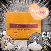 ヒメ日記 2026/03/30 01:16 投稿 せり トマトなび