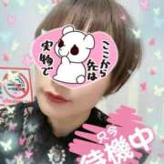 ヒメ日記 2026/03/30 18:40 投稿 せり トマトなび