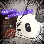 ヒメ日記 2026/03/31 17:00 投稿 せり トマトなび