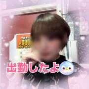 ヒメ日記 2026/04/30 18:21 投稿 せり トマトなび