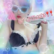 ヒメ日記 2026/04/30 18:54 投稿 せり トマトなび