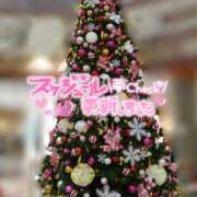 ヒメ日記 2024/12/07 19:18 投稿 るな 静岡駅前ちゃんこ