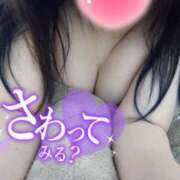 ヒメ日記 2024/12/26 12:18 投稿 るな 静岡駅前ちゃんこ