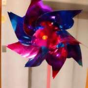 ヒメ日記 2025/07/30 12:48 投稿 るな 静岡駅前ちゃんこ