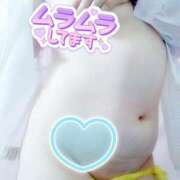 るな 触って 静岡駅前ちゃんこ