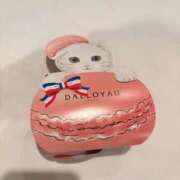 ヒメ日記 2025/04/05 15:24 投稿 坂本せつな HYPER TOKYO