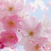 ヒメ日記 2025/03/21 17:03 投稿 長澤(ながさわ) 八王子人妻城