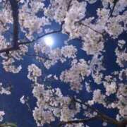 ヒメ日記 2025/03/27 17:48 投稿 長澤(ながさわ) 八王子人妻城