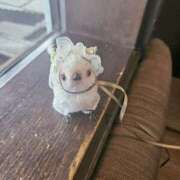 ヒメ日記 2025/04/07 15:48 投稿 長澤(ながさわ) 八王子人妻城