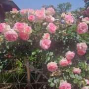 ヒメ日記 2025/05/21 09:33 投稿 長澤(ながさわ) 八王子人妻城