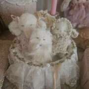 ヒメ日記 2025/05/26 00:03 投稿 長澤(ながさわ) 八王子人妻城