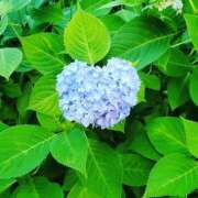 ヒメ日記 2025/05/28 18:27 投稿 長澤(ながさわ) 八王子人妻城