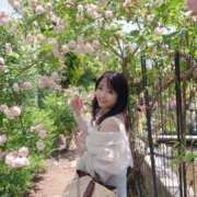 ヒメ日記 2025/06/27 12:48 投稿 長澤(ながさわ) 八王子人妻城