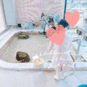 ヒメ日記 2025/08/15 14:36 投稿 長澤(ながさわ) 八王子人妻城