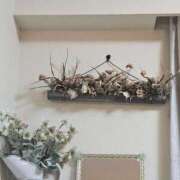 ヒメ日記 2025/08/16 05:36 投稿 長澤(ながさわ) 八王子人妻城