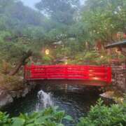 ヒメ日記 2025/08/20 11:21 投稿 長澤(ながさわ) 八王子人妻城