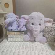 ヒメ日記 2025/09/24 11:18 投稿 長澤(ながさわ) 八王子人妻城