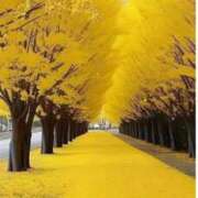 ヒメ日記 2025/10/18 12:54 投稿 長澤(ながさわ) 八王子人妻城