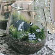 ヒメ日記 2025/11/17 14:18 投稿 長澤(ながさわ) 八王子人妻城