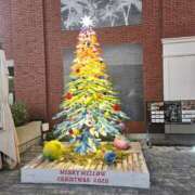 ヒメ日記 2025/12/04 16:03 投稿 長澤(ながさわ) 八王子人妻城