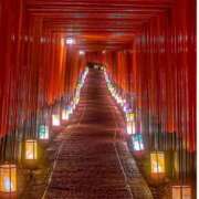 ヒメ日記 2025/12/05 14:33 投稿 長澤(ながさわ) 八王子人妻城