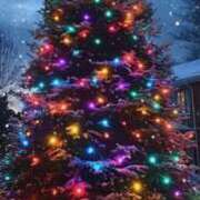 ヒメ日記 2025/12/24 16:33 投稿 長澤(ながさわ) 八王子人妻城