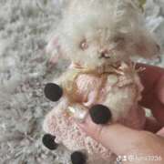 ヒメ日記 2026/01/18 15:33 投稿 長澤(ながさわ) 八王子人妻城