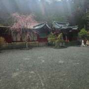 ヒメ日記 2026/04/09 08:12 投稿 長澤(ながさわ) 八王子人妻城