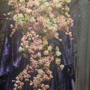 ヒメ日記 2026/04/11 19:12 投稿 長澤(ながさわ) 八王子人妻城