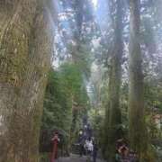 ヒメ日記 2026/04/18 18:33 投稿 長澤(ながさわ) 八王子人妻城