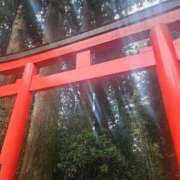 ヒメ日記 2026/05/03 10:03 投稿 長澤(ながさわ) 八王子人妻城