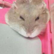 ヒメ日記 2025/08/22 19:43 投稿 浅田うた 恋する奥さん 西中島店