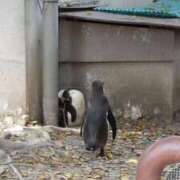 ヒメ日記 2025/10/07 01:14 投稿 浅田うた 恋する奥さん 西中島店