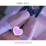 ヒメ日記 2024/10/12 07:25 投稿 もも LABO（ラボ）