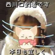 ヒメ日記 2025/01/12 09:48 投稿 市川 西川口デッドボール