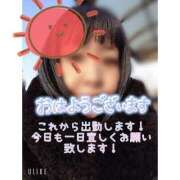 ヒメ日記 2025/03/09 07:58 投稿 市川 西川口デッドボール
