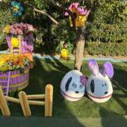 ヒメ日記 2025/03/15 21:19 投稿 なほ 新宿11チャンネル